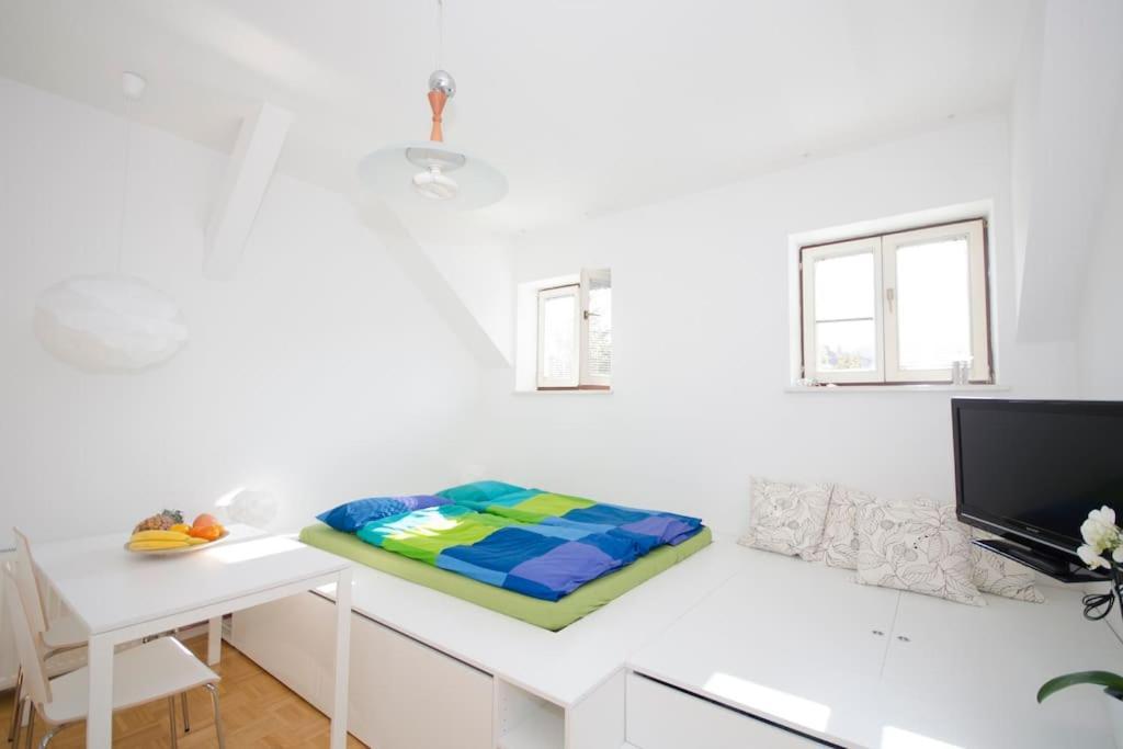 The Cute, Sunny Apartment In The Center +P Ljubljana Extérieur photo